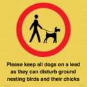 please-keep-all-dogs-on-a-lead-as-they-can-disturb-ground-nesting-birds-and-thei~